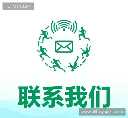 专家在线